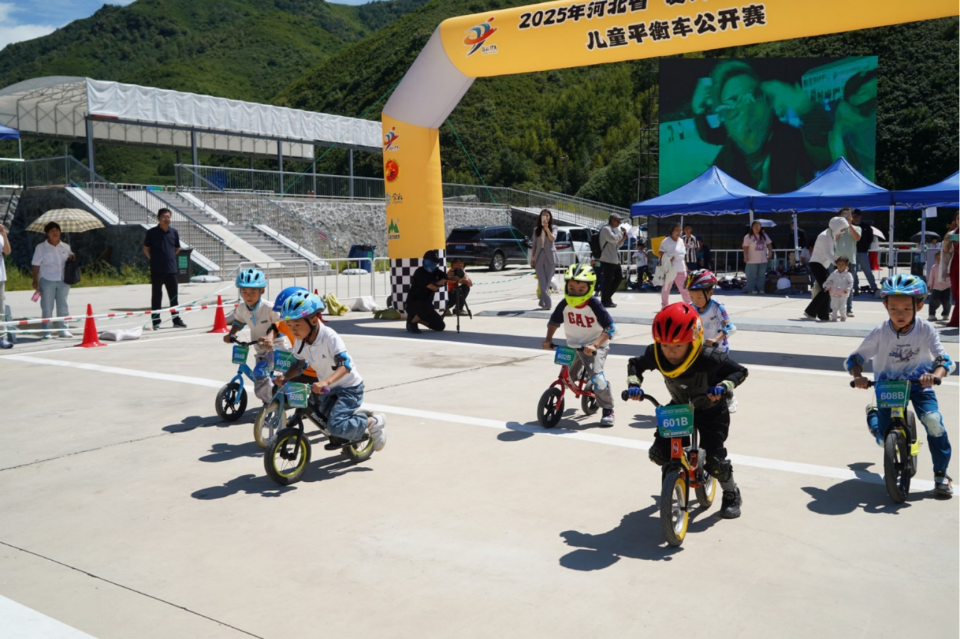 https, 手颁发定制, 河北省体育